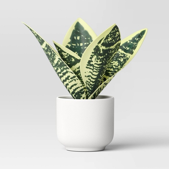 Artificial Snake Plant Assorted - Threshold™: Faux Flora in Melamine Pot - Picture 1 of 1